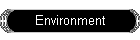 Environment