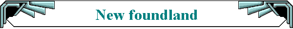 New foundland