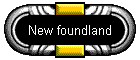 New foundland